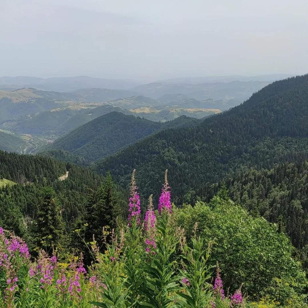 Milmari S30 Kopaonik Exterior foto